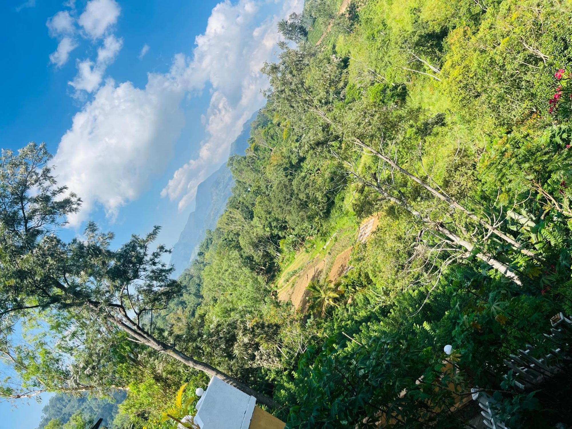 Viyanga Homestay Ella Kültér fotó